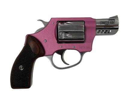 5380566c0.jpg CHARTER ARMS COYOTE 380ACP PINK/SS 2" 5RD