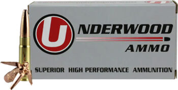 A452.jpg UNDERWOOD 300 AAC 194GR - SUBSONIC 20RD 10BX/CS
