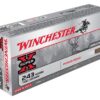AX243WSS_1_1.jpg WINCHESTER SUPER-X 243 WSSM - 100GR POWER POINT 20RD 10BX/CS