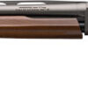 WINCHESTER SXP HYBRID FIELD - 20GA 3" 26"VR WALNUT GRAY