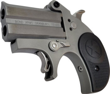 BOND ARMS STUBBY 22LR - 2.2" STAINLESS NYLON
