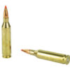 H80463_4.jpg HRNDY SF 243WIN 95GR SST 20/200