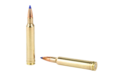 WYB300180TTSX_4.jpg WBY AMMO 300WBY 180GR TTSX 20/200