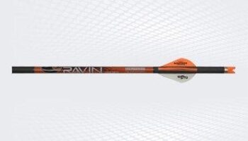 https3A2F2Fmedia.chattanoogashooting.com2Fimages2Fproduct2FRPR1382FRPR138.jpg Ravin Crossbow Bolts 400 gr .003 6/pk