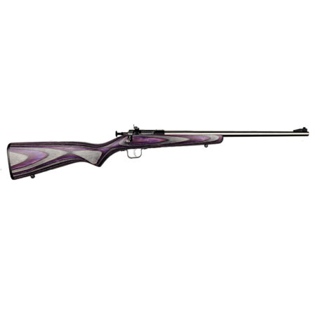 ksa2228purplelaminatess5a4e.jpg KEYSTONE SPORTING ARMS CRICKETT 22LR SS/PURPLE LAM