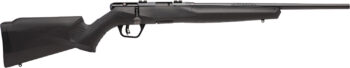 SAV B17F COMP 17HMR BA 10RD