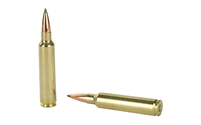 NOSLER 30NOS 210GR ABLR 20/200