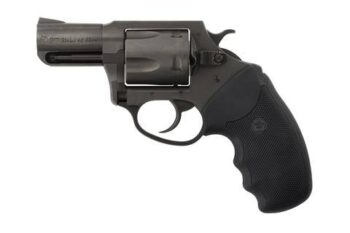 CHARTER ARMS CHARTER PITBULL 40SW NIT 2" FS