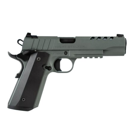 1010051279f1.jpg TISAS 1911 NIGHT STALKER GRY 10MM