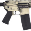 GBROWTPLSB_RECEIVER-R.jpg BLACK RAIN WE THE PEOPLE 5.56 - 16" LIGHT SAND BWORN 30RD
