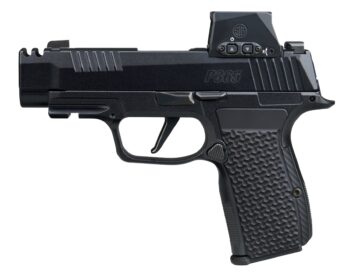 SIG SAUER P365 AXG LUXE 380ACP 12+1 ROMX