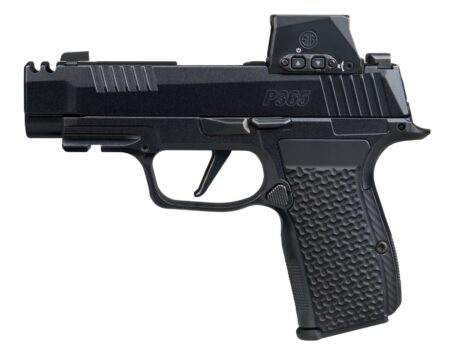 P365AXGLUXERXSL.jpg SIG SAUER P365 AXG LUXE 380ACP 12+1 ROMX