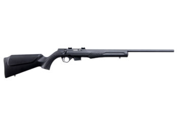 BRZ ROSSI RB17 17HMR BA 21B 5R