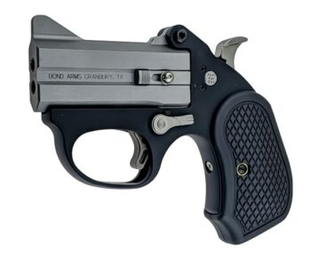 stingerfb2b6d.jpg BOND ARMS STINGER FB 22MAG SS 3" FS